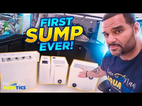 The Seamless Sump Aquarium Filter - Beginners Start Here