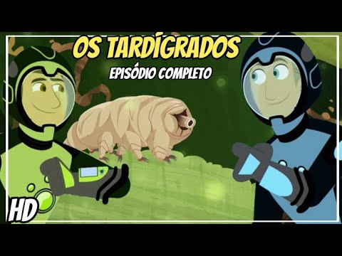 Aventura com os kratts - Lugares remotos - português em HD - kratts series - ciência - completo