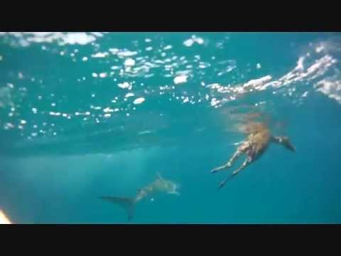 comment appelle-t-on un bateau qui va prendre la mer