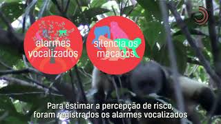Miniatura do vídeo