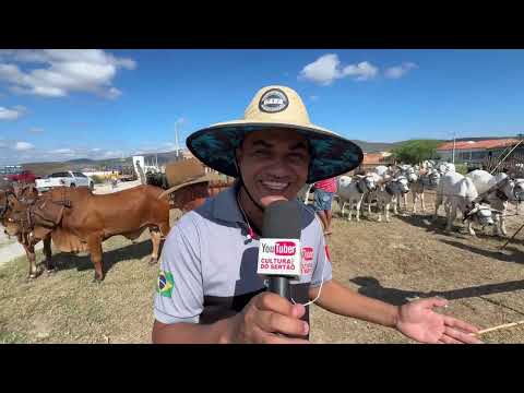 Feira do Carro de Boi em São José da Tapera - AL 03 - 10 - 2026 #nordeste