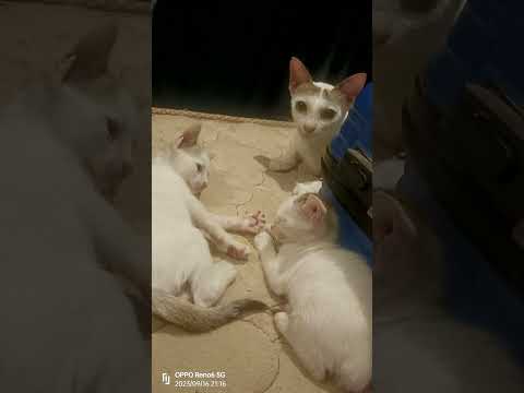 velluchiii 💯💯💯💯💯💯🔥🔥🔥🔥🔥🔥🔥🔥🔥🔥🔥🔥🔥🔥🔥🔥❤️❤️❤️❤️😀❤️😘😘 exactly yyyyyyyyyyyyyyyyyyyyyyyyyy 🔥💯💯💯💯💯😎😎😎😎😎😎😎💯💯💯💯😎