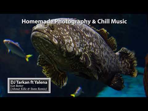 DJ Tarkan ft. Yalena - Get Better (Ahmet Kilic & Stoto Remix)