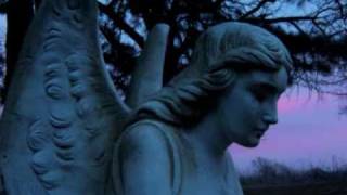 Catherine Wheel ~ Flowers To Hide