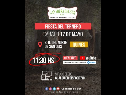 Fiesta del Ternero, Quines, San Luis