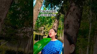 Download lagu LOVE FROM THE OTHER @SARAF892 #dangdut #home #ytshorts #musicentertainment #duet mp3