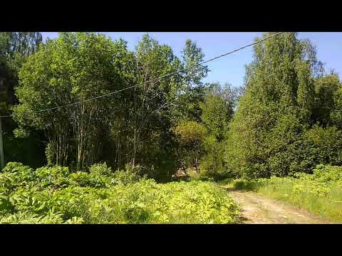 #Участок#земли с лесными деревьями под#дом или#дачу #деревня#Коноплино #Клин#МО#АэНБИ #недвижимость