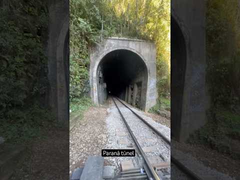 Túnel roça grande Piraquara #brasil #automobile #paraná