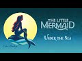 Under The Sea Instrumental With Lyrics