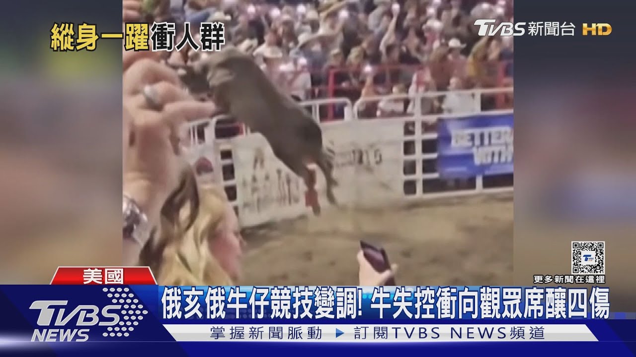 俄亥俄牛仔競技變調!牛失控衝向觀眾席 釀四傷