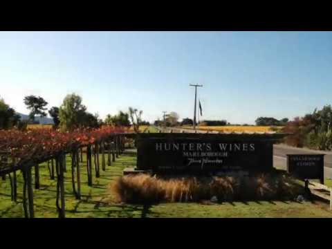Hunters Wines