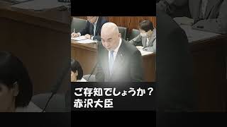 移民コストを試算しろ！ #日本保守党 #百田尚樹 #参議院 #働き方改革 #移民 #外国人 #経済産業省 #厚生労働省