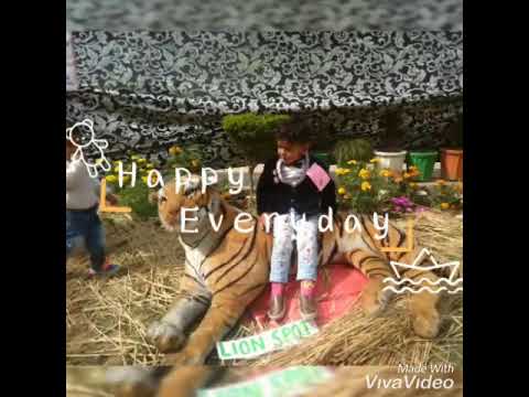 Divit arora ladwa 4 birthday