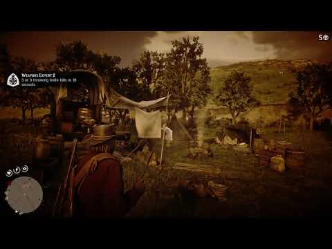 Red Dead Redemption 2 Weapons Expert 2 Challenge completed (and then some)