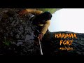 Harihar Fort in Tamil | in monsoon | 80° cut rock steps