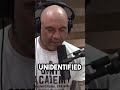 Joe Rogan and Tim Pool go deep on UFOs  #joerogan #joeroganpodcast #podcast