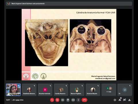 TyTL: Teorico de anatomía: vías aereas superiores