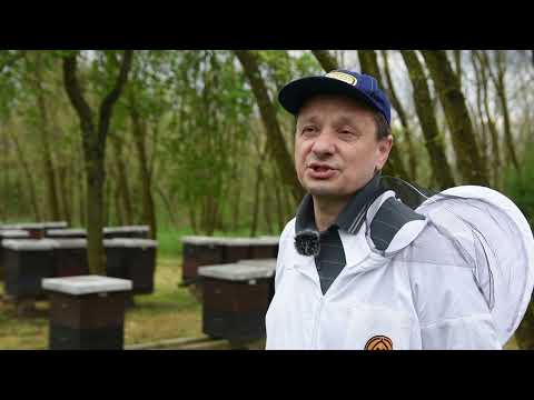 PČELARSTVO JE VIŠE OD BIZNISA - TO JE NAČIN ŽIVOTA, Vršac