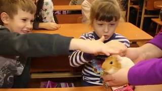 У Харкові відзначили день домашніх тварин