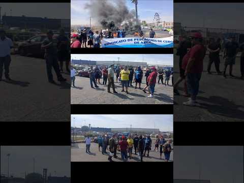 🔥 "ARICA EN LLAMAS: PROTESTA DE PESCADORES AHOGA EL ACCESO AL PUERTO"