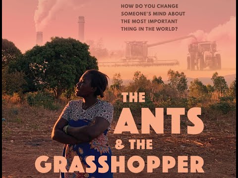 “The Ants and the Grasshopper” Shows How Denial Can Be a Win for Activists