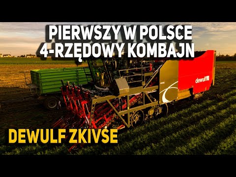 Nowy 4-rzędowy Kombajn do Warzyw| Jedyny w Polsce Dewulf ZKIVSE in Poland 4-row vegetable harvester
