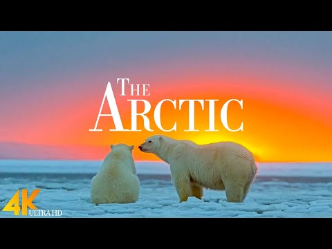 The Arctic 4K (UHD) - Relaxing Piano Music Along With Beautiful Nature Videos | 4K Relaxation Film