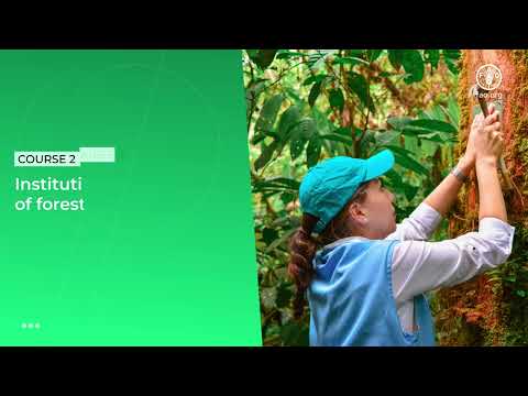 E-learning series: Forest Monitoring for Climate Action