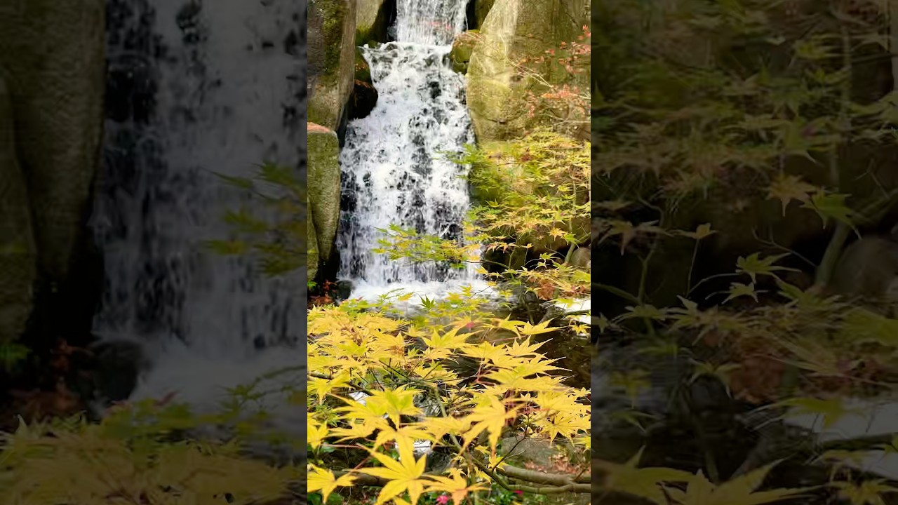 YouTube Short thumbnail