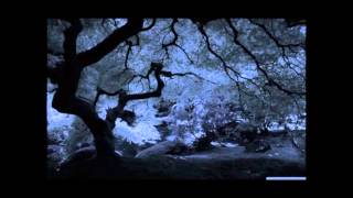 Oh Love (Brad Paisley Cover) (Memories Version)