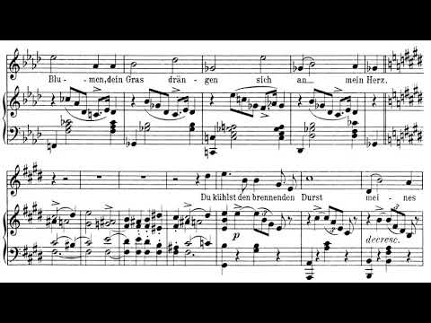 Ganymed(Schubert)가곡반주 Piano Accompaniment