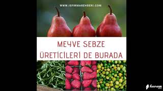 İş Firma Rehberi İle Firmanı Tanıt
