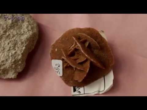 Mineralienbörse Annaberg-Buchholz 2016