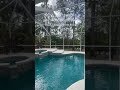 Florida is amazing #florida #floridarealestate #movingtoflorida #tampa #pooldesign #pools #poolhome