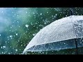 Rain Status Video Barish Whatsapp Status And Natural Status Shorts Youtubevideo Beautiful Earth