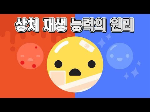 새살 돋는 연고, 피부에 미치는 영향은?