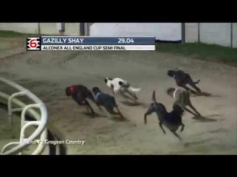 2019 ALCONEX ALL ENGLAND CUP - 3RD SEMI - T6 GAZILLY SHAY