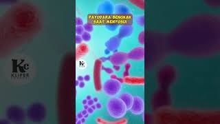 Download lagu Payudara Bengkak Keras Seperti Batu Saat Menyusui #kesehatan #kliperchannel #menyusui mp3 Download lagu Payudara Bengkak Keras Seperti Batu Saat Menyusui #kesehatan #kliperchannel #menyusui mp3