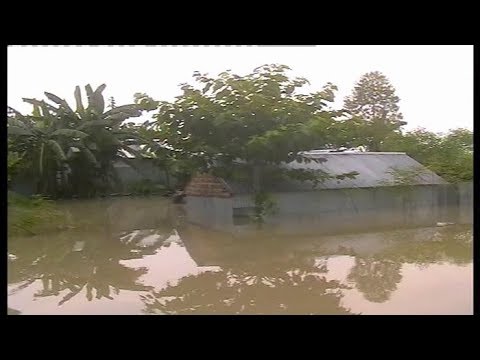 উত্তরে বেড়েছে নদ-নদীর পানি