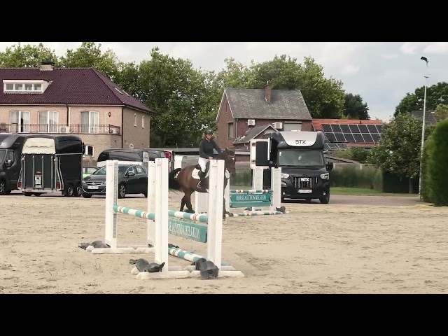 Under the saddle