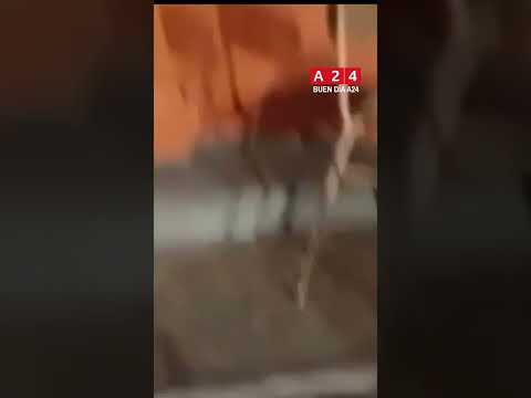 🔴 VANDALIZARON Y ROBARON UNA ESCUELA EN MERLO