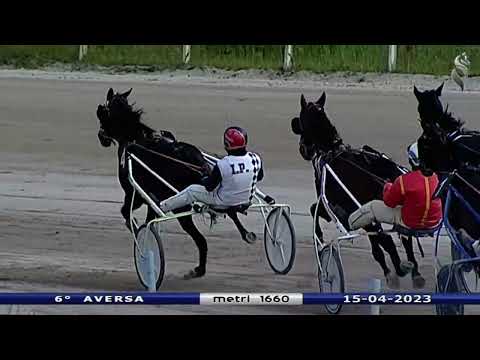 Aversa trotto 15 Aprile 2023 - 6° Corsa