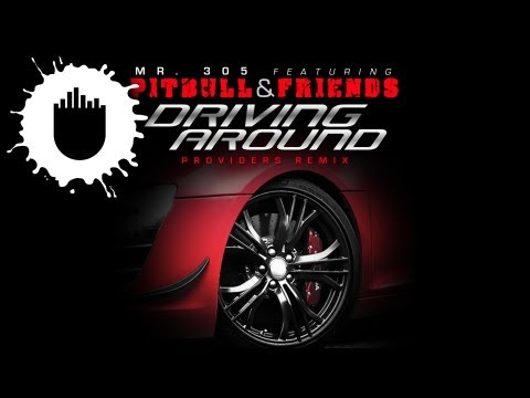 Mr. 305 feat. Pitbull, David Rush & Vein - Driving Around (Providers Remix) (Cover Art)