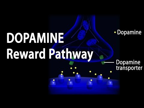 Dopamine Reward Pathway