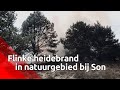 Flinke heidebrand in een natuurgebied bij Son