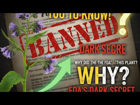 Why Did the FDA "Ban" This Plant? (The Comfrey Conspiracy)