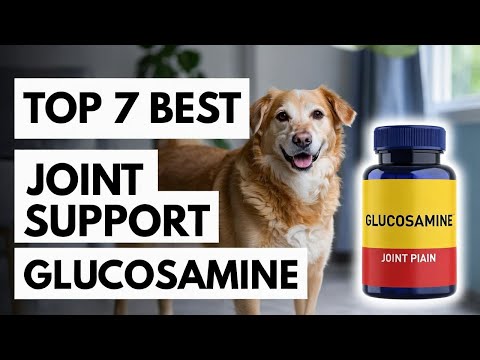 Top 7 Best Dog Joint Supplement Glucosamine Review Guide 2026 Latest Update (Exclusive) Must See Now