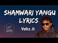 VOLTZ JT SHAMWARI YANGU LYRICS