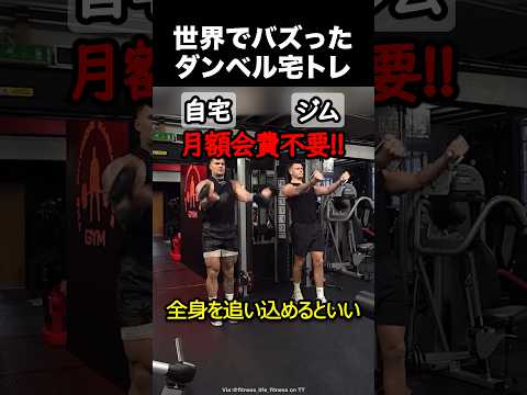 ジム要らずのダンベル宅トレ