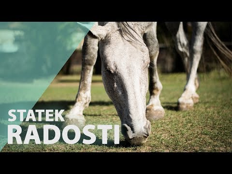 Seno pro Statek Radosti z. s.